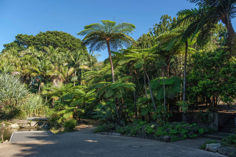 Australian Botanic Garden, Mount Annan