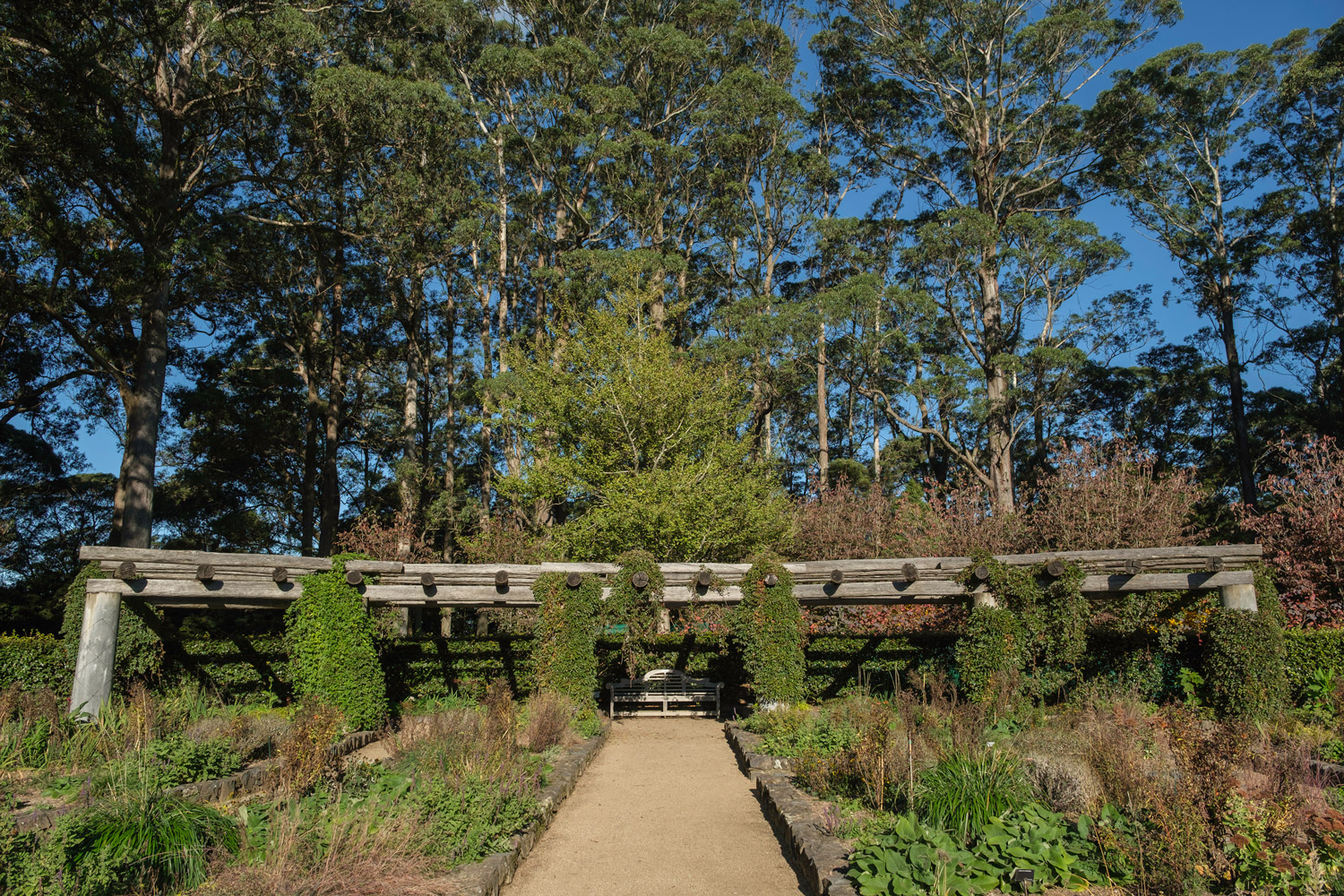 Blue Mountains Botanic Garden, Mount Tomah